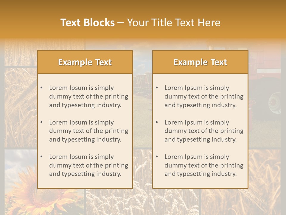 Sunflower Field Work PowerPoint Template