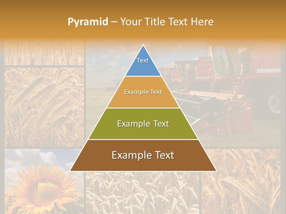 Sunflower Field Work PowerPoint Template