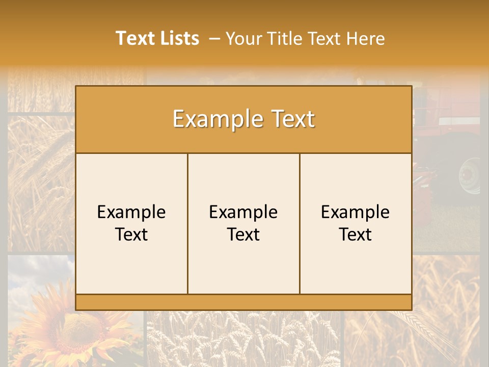 Sunflower Field Work PowerPoint Template