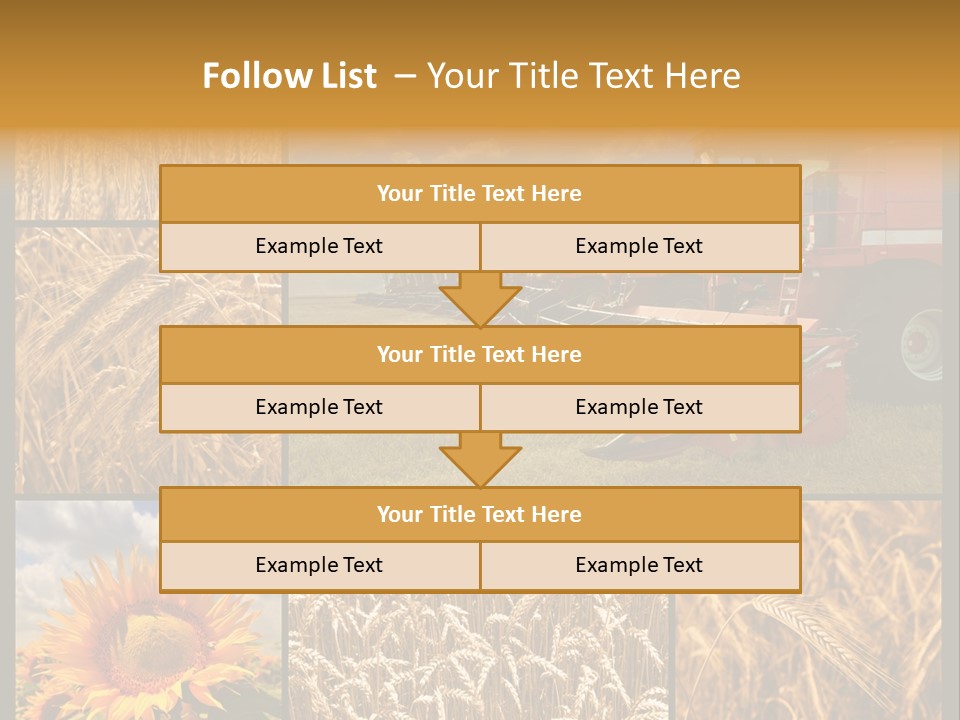 Sunflower Field Work PowerPoint Template