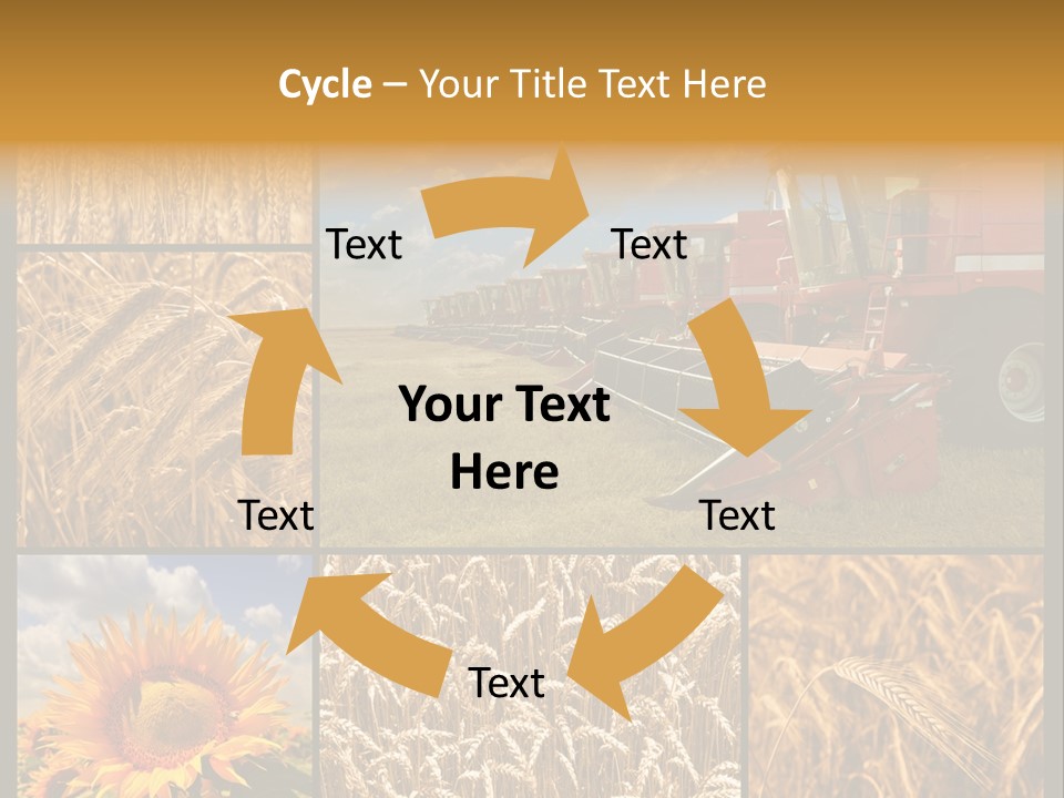 Sunflower Field Work PowerPoint Template