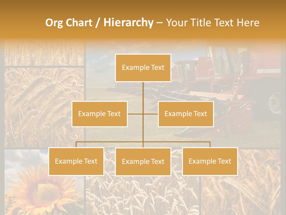Sunflower Field Work PowerPoint Template