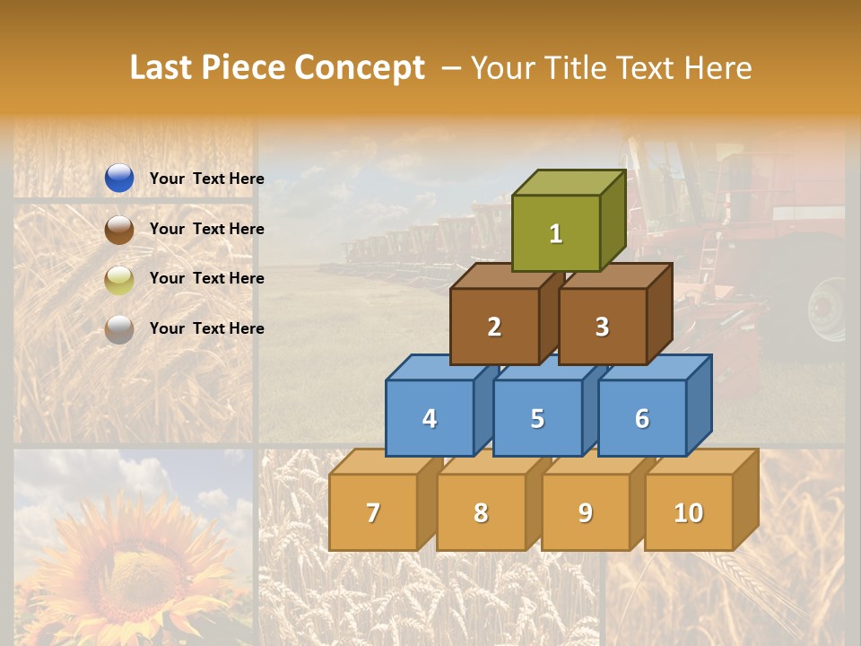 Sunflower Field Work PowerPoint Template