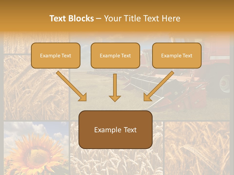 Sunflower Field Work PowerPoint Template