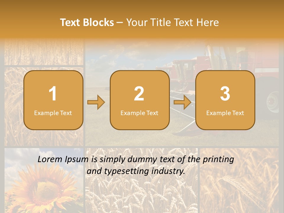 Sunflower Field Work PowerPoint Template