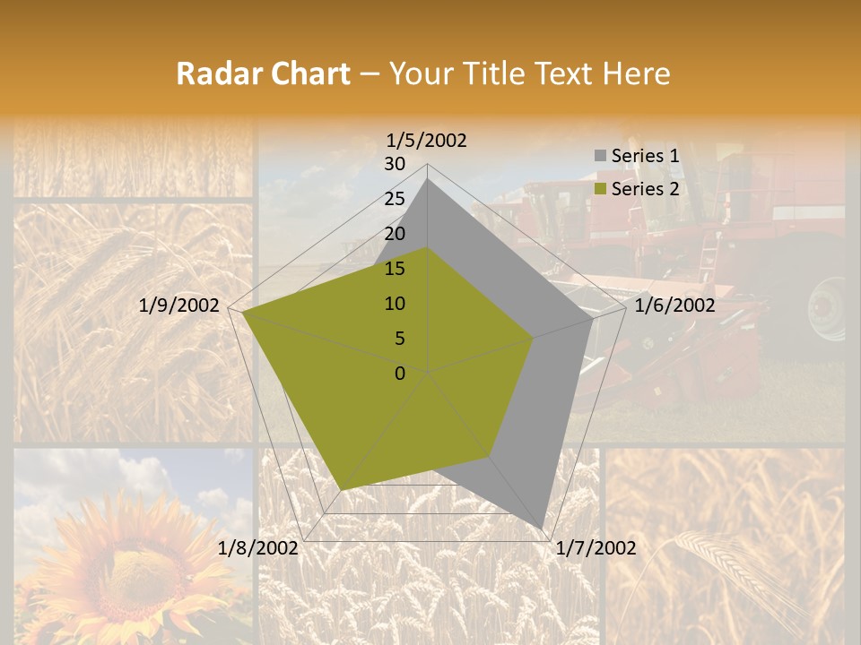 Sunflower Field Work PowerPoint Template