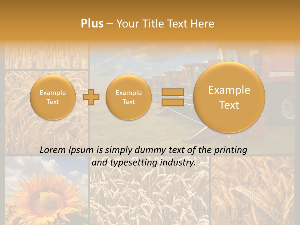 Sunflower Field Work PowerPoint Template