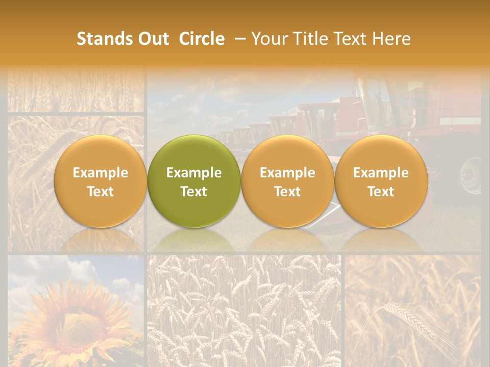 Sunflower Field Work PowerPoint Template