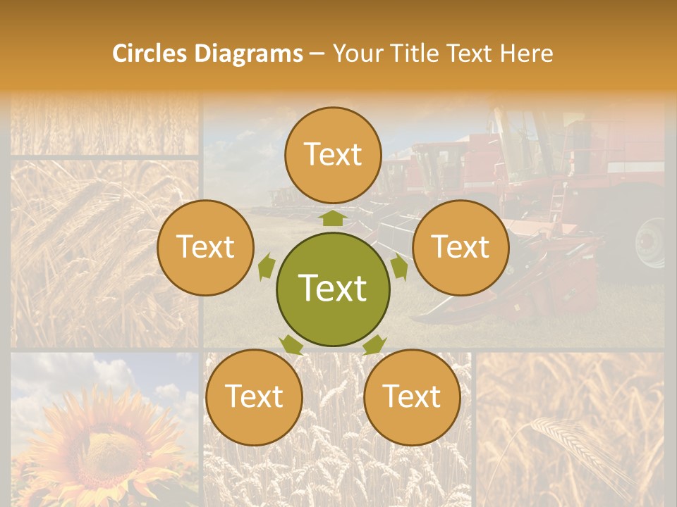 Sunflower Field Work PowerPoint Template