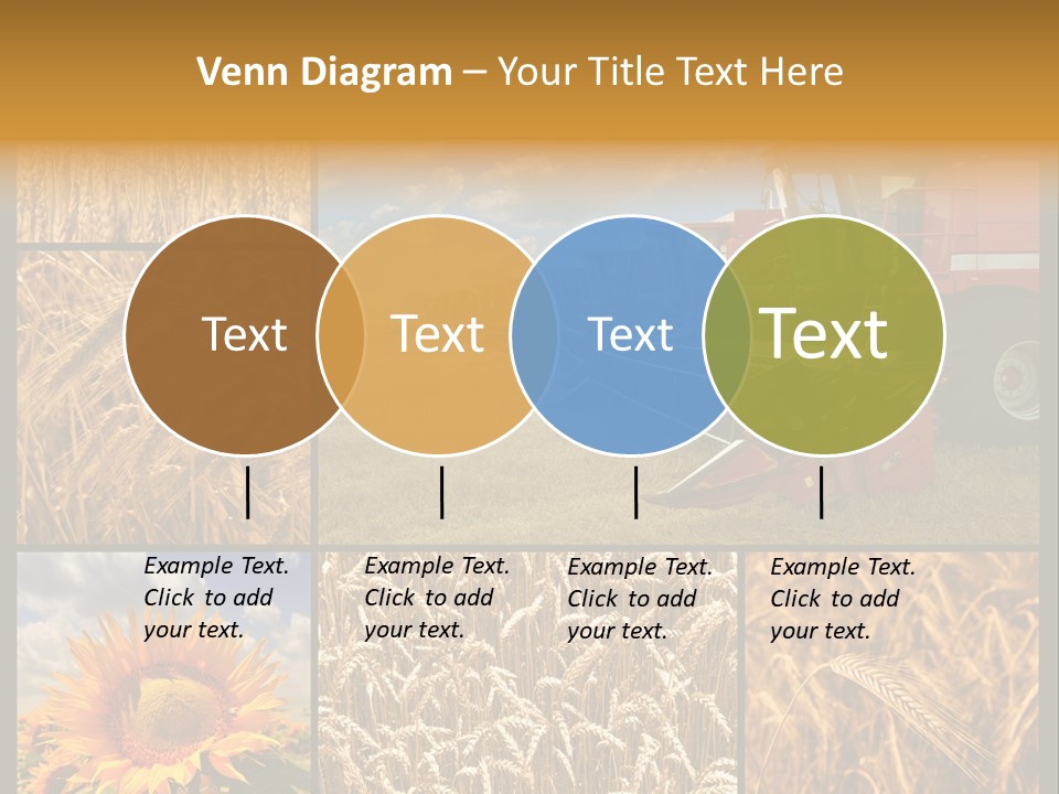 Sunflower Field Work PowerPoint Template