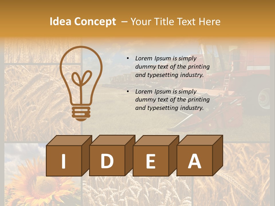 Sunflower Field Work PowerPoint Template