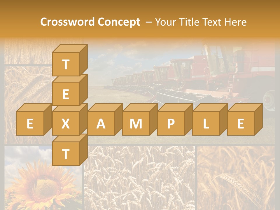 Sunflower Field Work PowerPoint Template