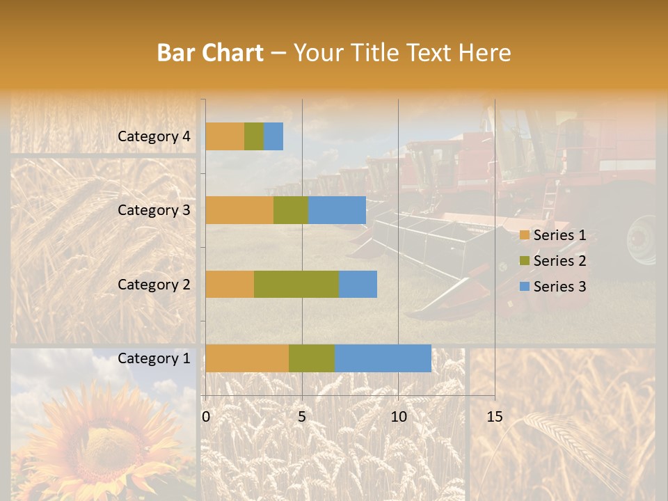 Sunflower Field Work PowerPoint Template