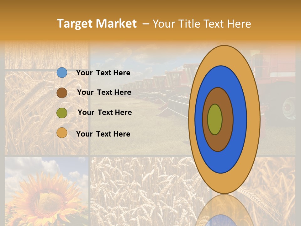 Sunflower Field Work PowerPoint Template