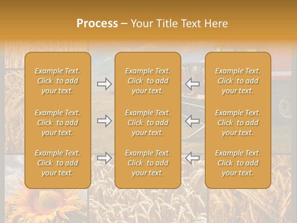 Sunflower Field Work PowerPoint Template