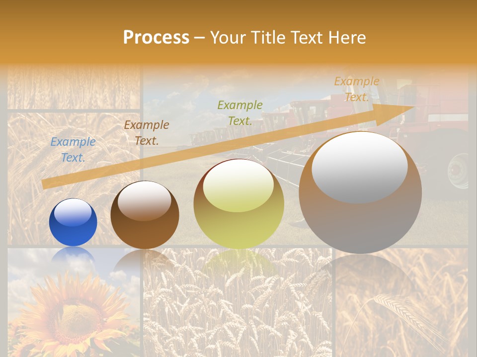 Sunflower Field Work PowerPoint Template
