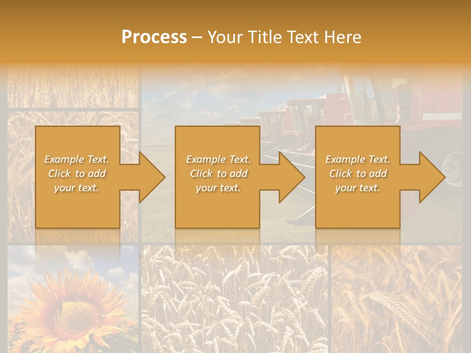 Sunflower Field Work PowerPoint Template