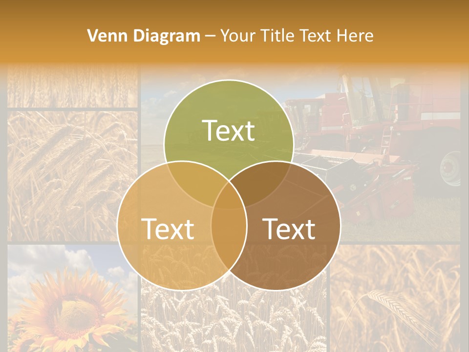 Sunflower Field Work PowerPoint Template
