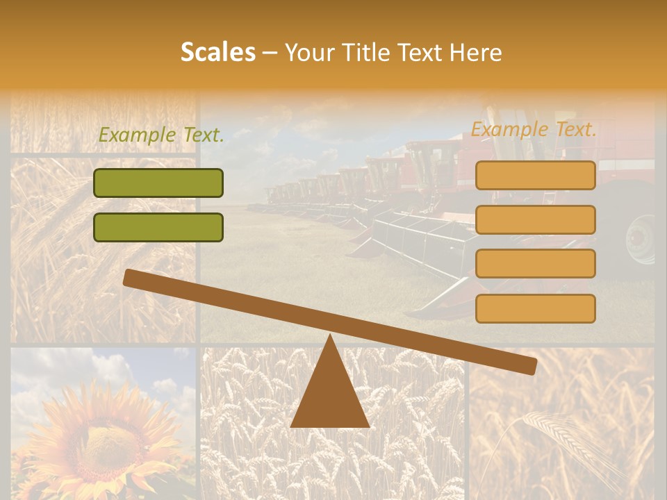 Sunflower Field Work PowerPoint Template