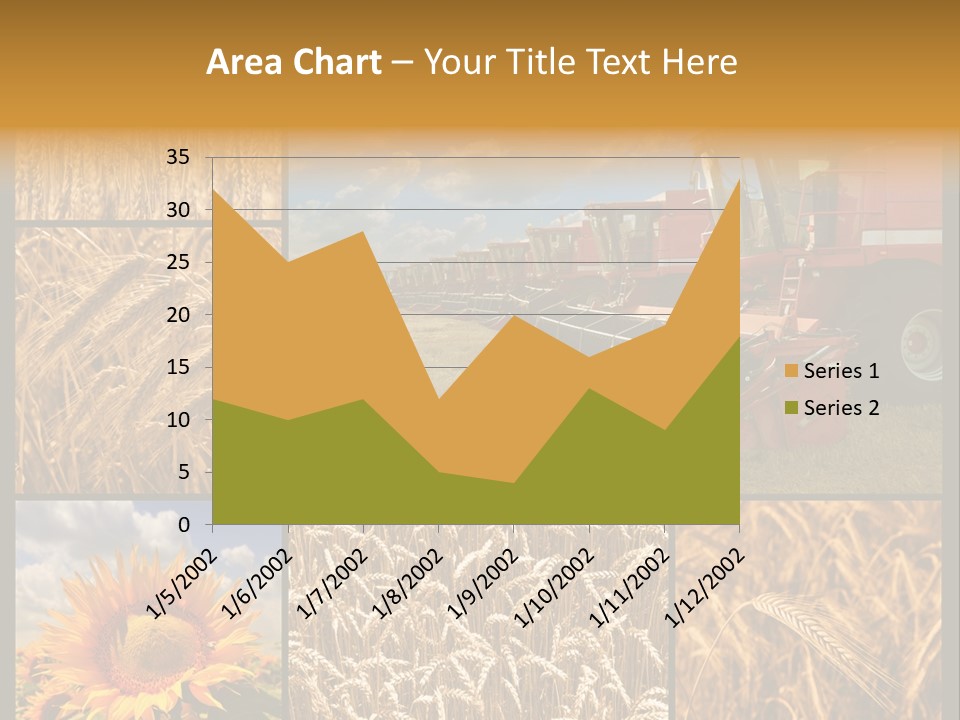 Sunflower Field Work PowerPoint Template