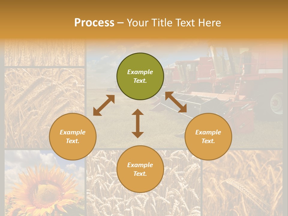 Sunflower Field Work PowerPoint Template