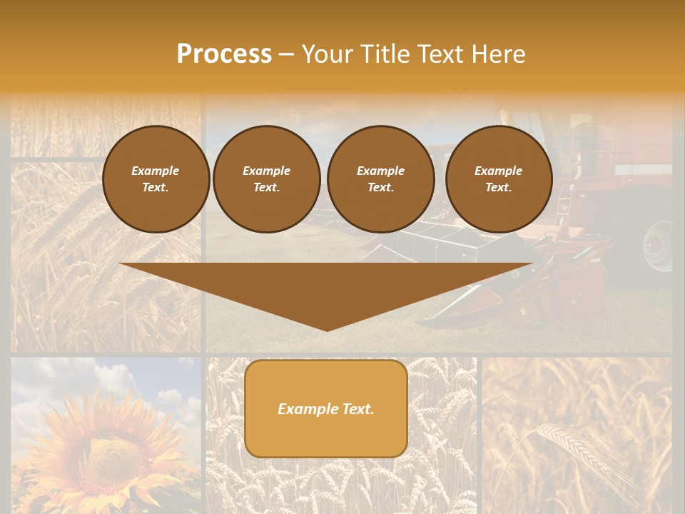 Sunflower Field Work PowerPoint Template