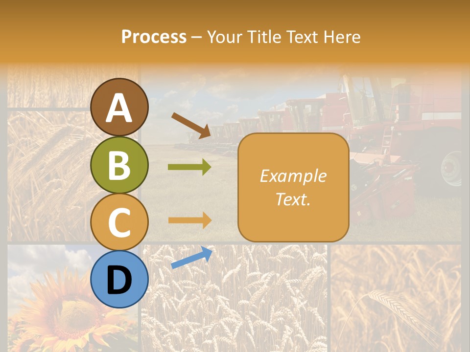 Sunflower Field Work PowerPoint Template