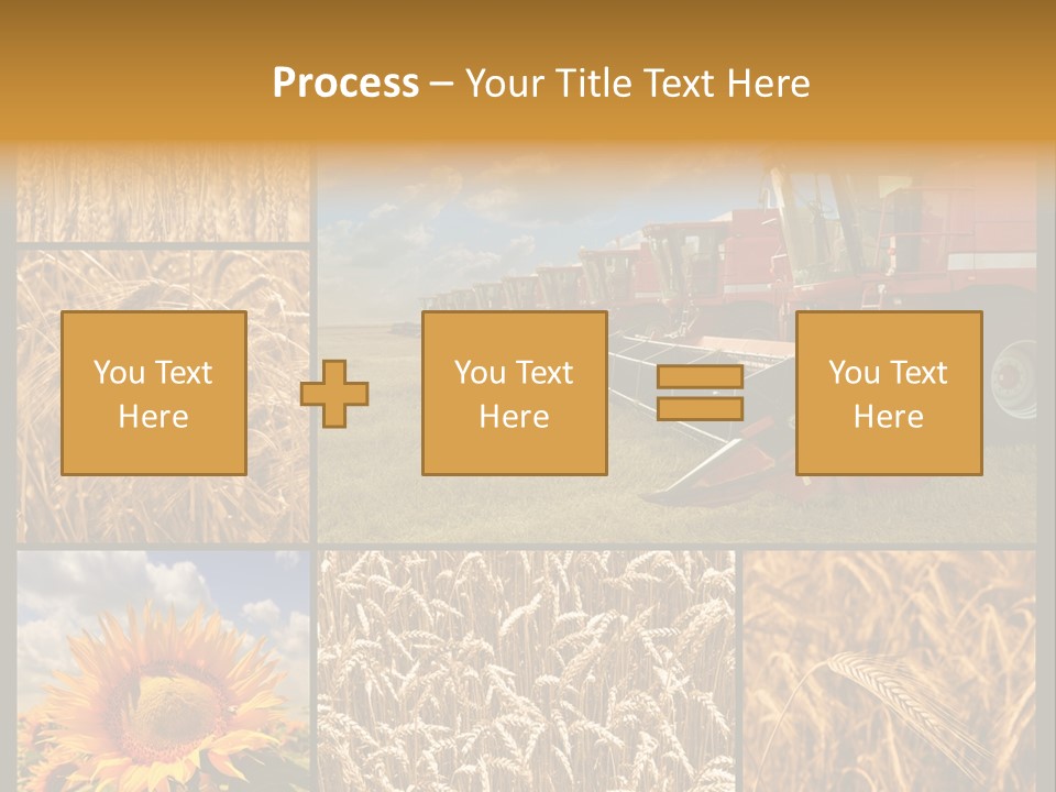 Sunflower Field Work PowerPoint Template