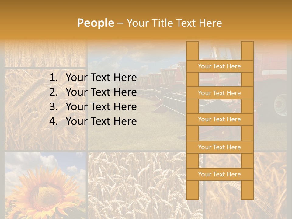 Sunflower Field Work PowerPoint Template