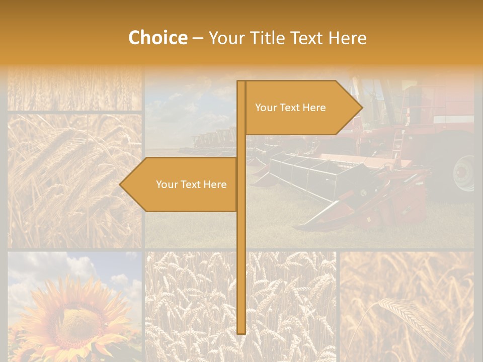 Sunflower Field Work PowerPoint Template