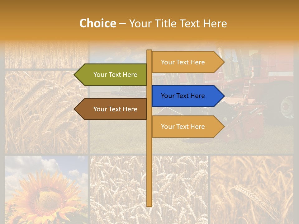 Sunflower Field Work PowerPoint Template