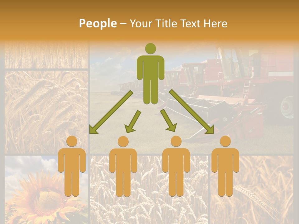 Sunflower Field Work PowerPoint Template