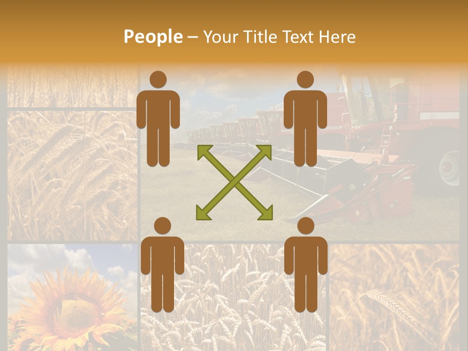 Sunflower Field Work PowerPoint Template