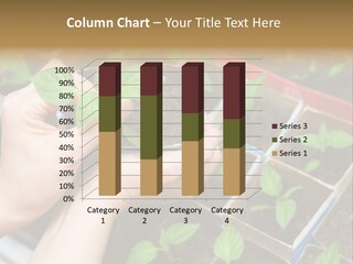 Vegetable Narrow Spring PowerPoint Template