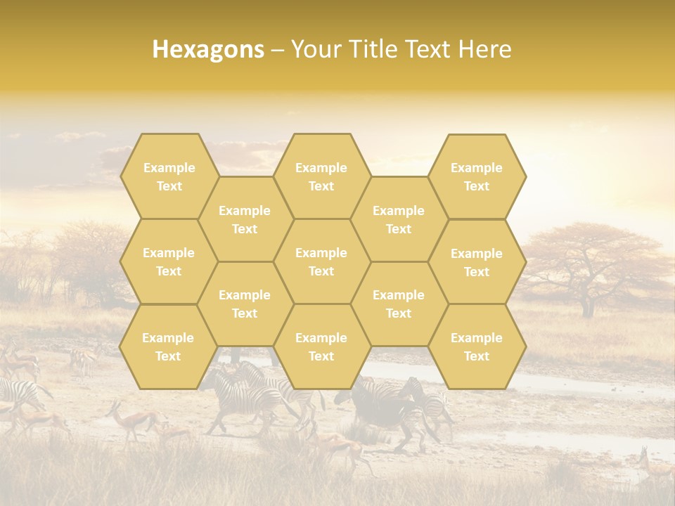 African Savanna PowerPoint Template