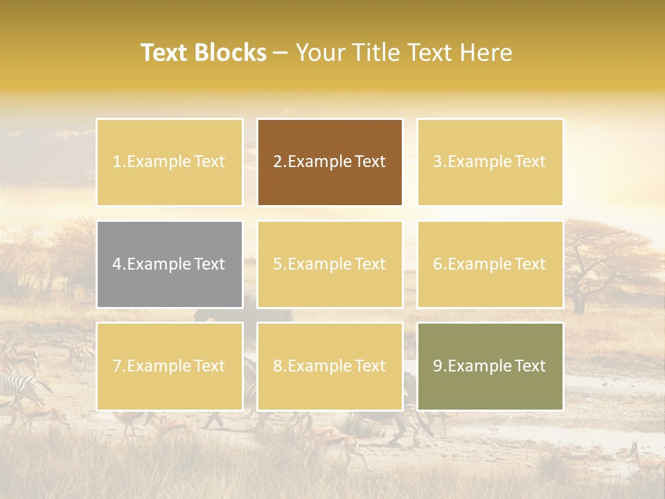 African Savanna PowerPoint Template