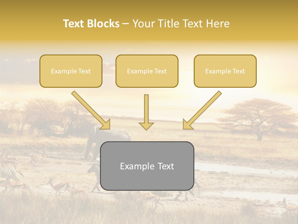 African Savanna PowerPoint Template
