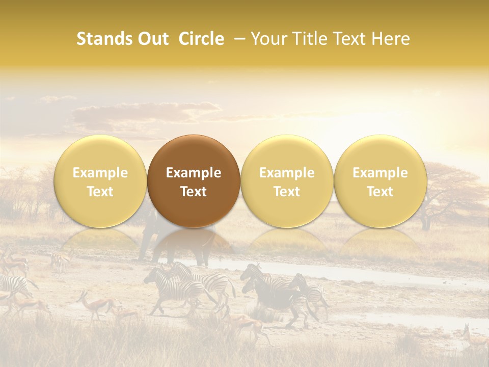 African Savanna PowerPoint Template