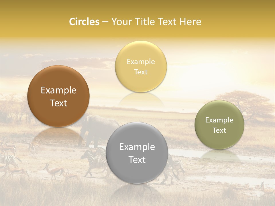 African Savanna PowerPoint Template