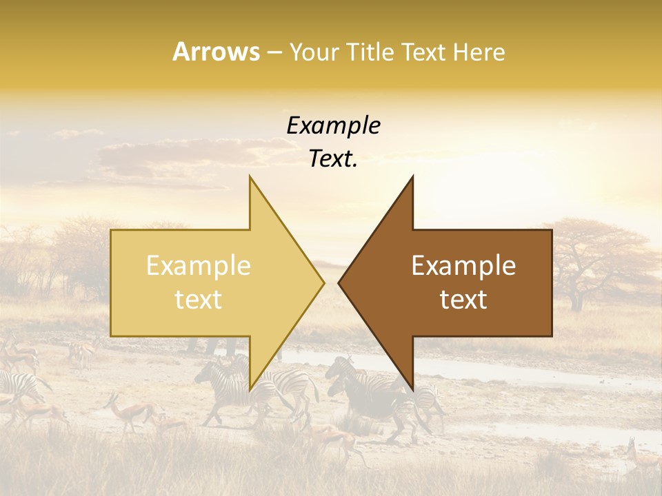 African Savanna PowerPoint Template