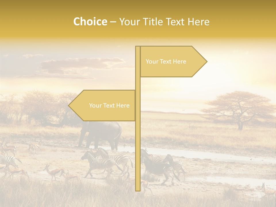 African Savanna PowerPoint Template