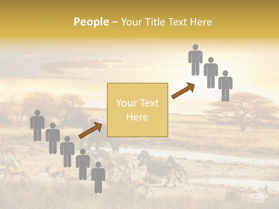 African Savanna PowerPoint Template