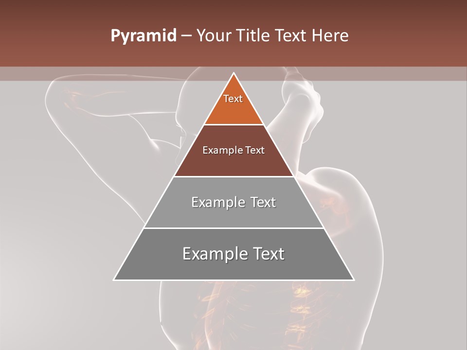 Male Body Backbone Scan PowerPoint Template