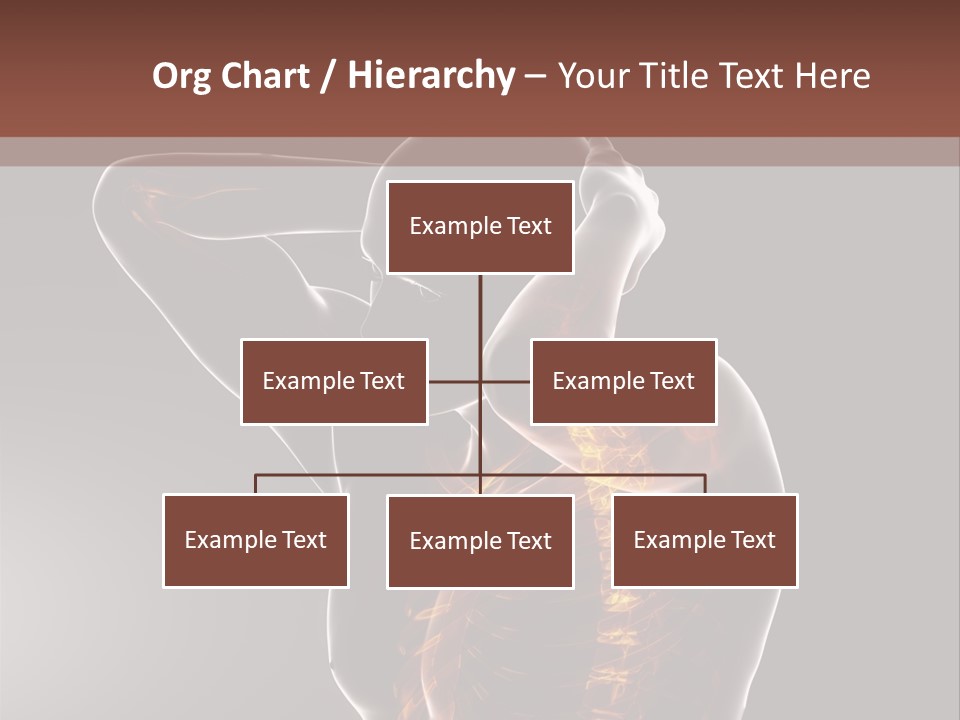 Male Body Backbone Scan PowerPoint Template
