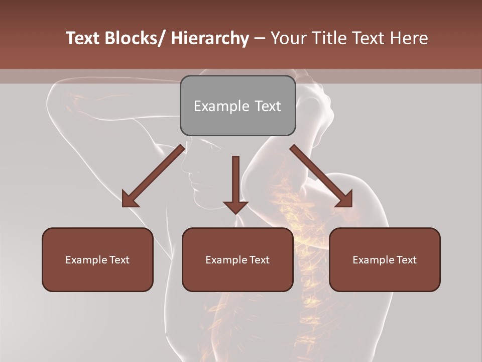 Male Body Backbone Scan PowerPoint Template