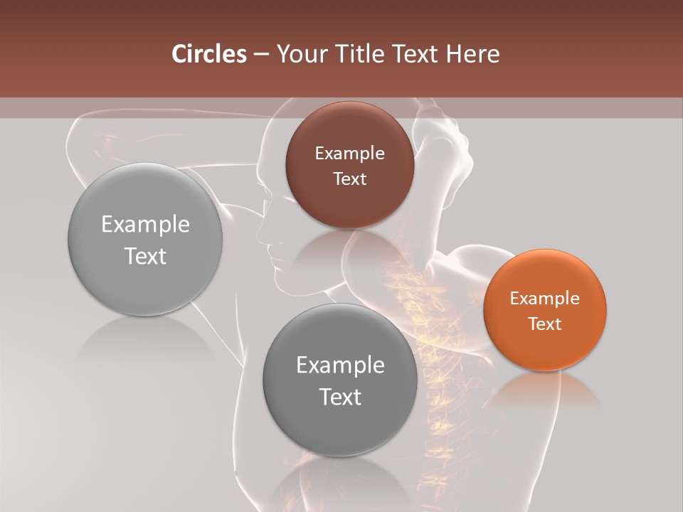 Male Body Backbone Scan PowerPoint Template