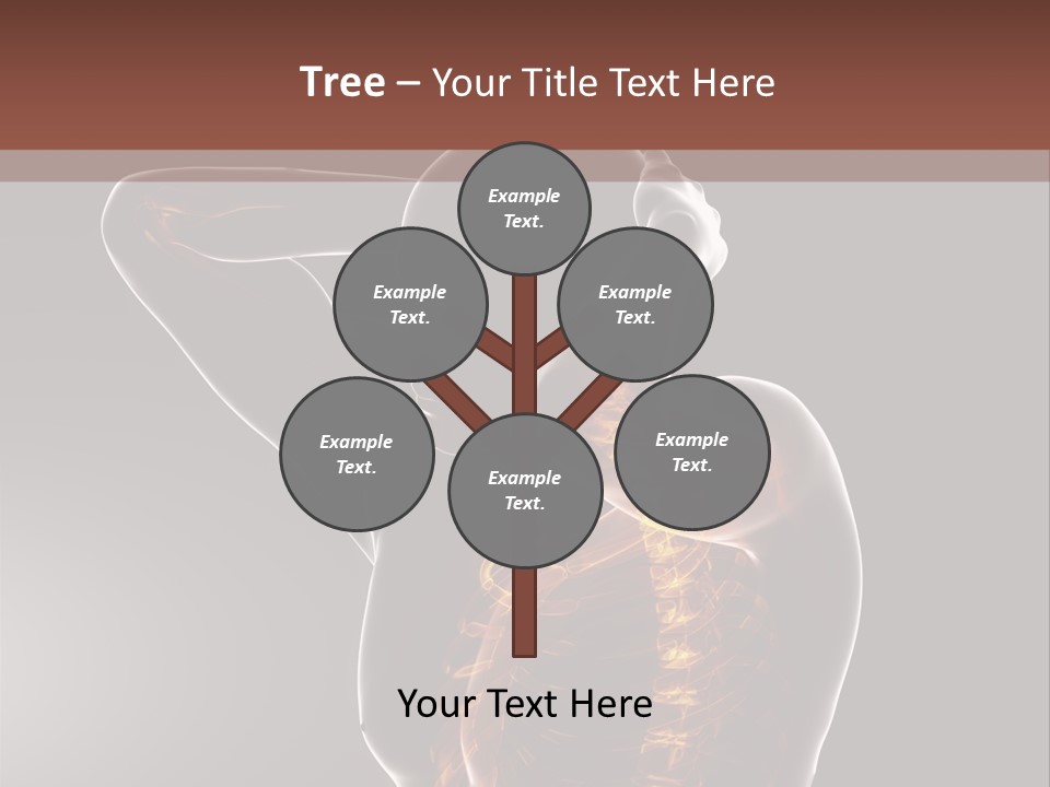 Male Body Backbone Scan PowerPoint Template