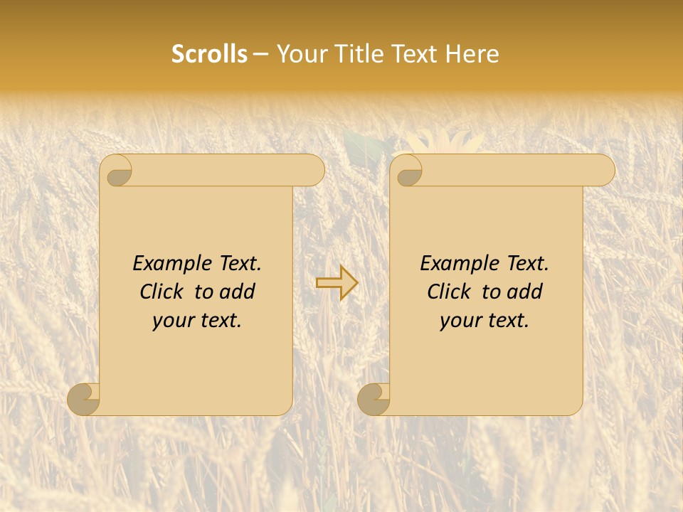 Beauty Vertical Vibrant PowerPoint Template