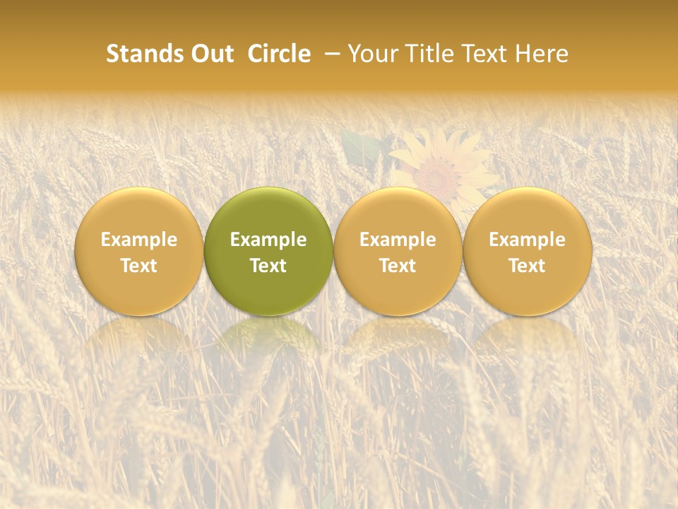 Beauty Vertical Vibrant PowerPoint Template