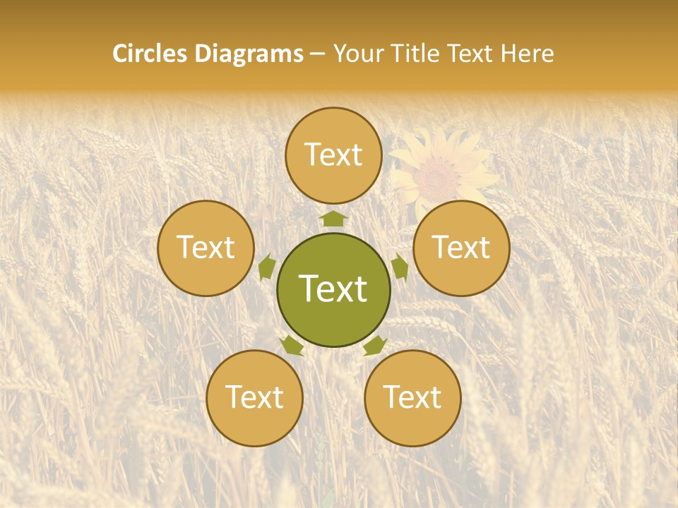 Beauty Vertical Vibrant PowerPoint Template